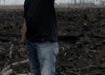 Moratorium Sawit Langkah Penting untuk Selamatkan Gambut Jambi