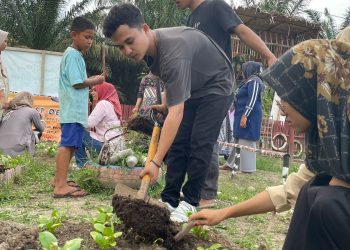 Tim Proide Miseta Unja, Adakan Kegiatan Pengaplikasian Pupuk Organik