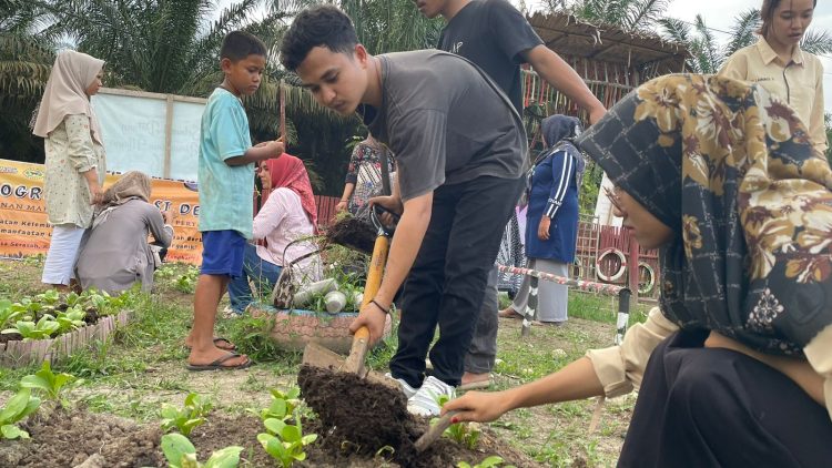 Tim Proide Miseta Unja, Adakan Kegiatan Pengaplikasian Pupuk Organik